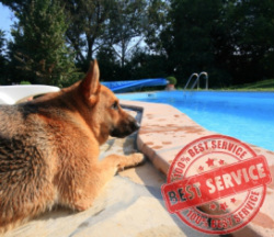pool service the woodlands